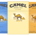 camel-cigarettes-cigarette-brand-exporters